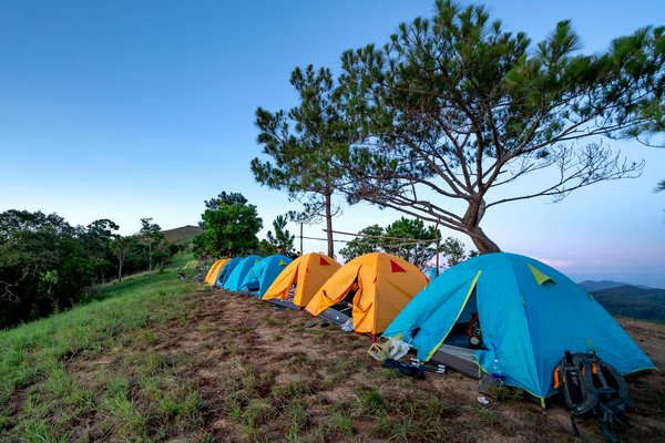 Quelles sont les meilleures expériences culinaires en camping au Pays Basque ?