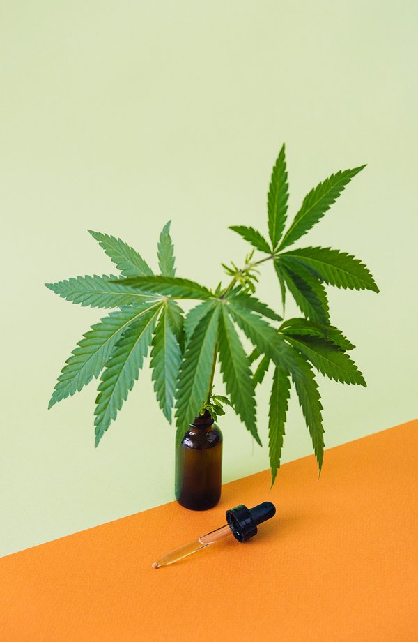 Quelles sont les méthodes d'administration d'une huile de cbd ?